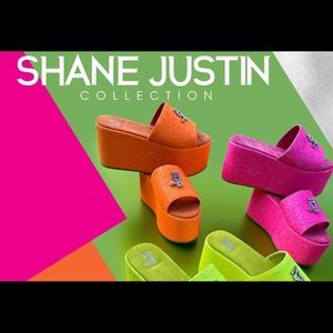 Shane Justin slides